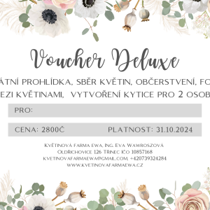 Voucher Deluxe