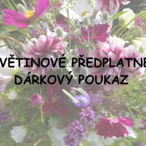 KVĚTINOVÉ PŘEDPLATNÉ